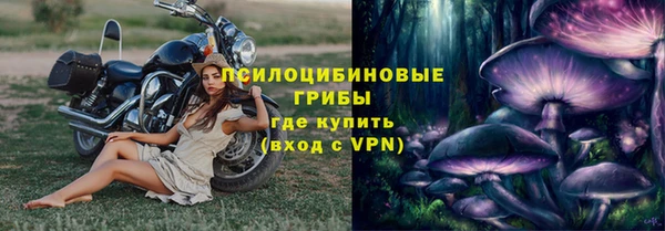 МДПВ Абинск