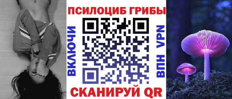 площадка наркотические препараты  Злынка  Галлюциногенные грибы Cubensis  купить   блэк спрут онион 